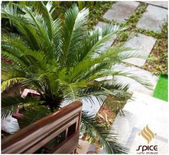 Spice Holidays Hotel Kochi Exterior foto